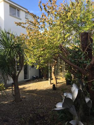 Photo 33- click for photo gallery